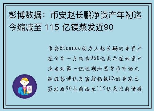 彭博数据：币安赵长鹏净资产年初迄今缩减至 115 亿镁蒸发近90