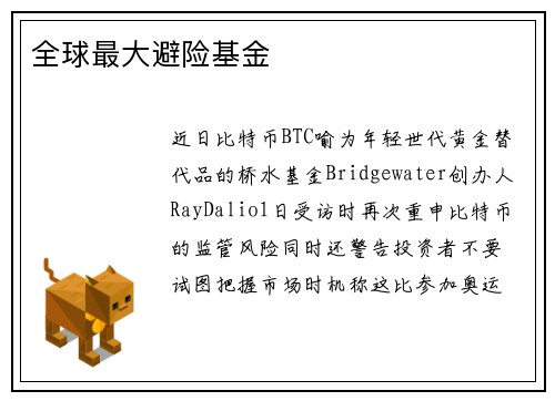 全球最大避险基金 